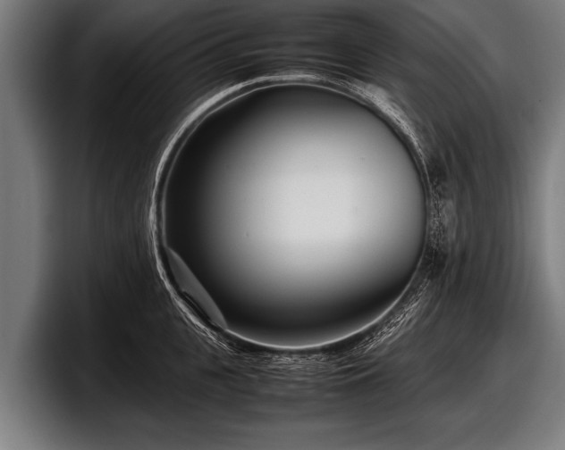 X0000097800951200803201354