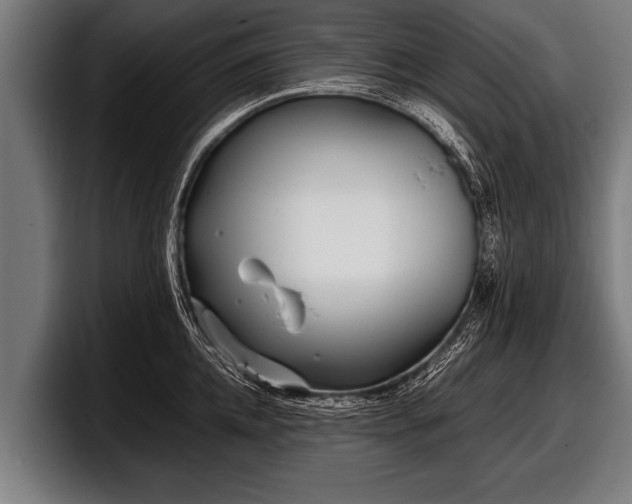 X0000097800952200803201354