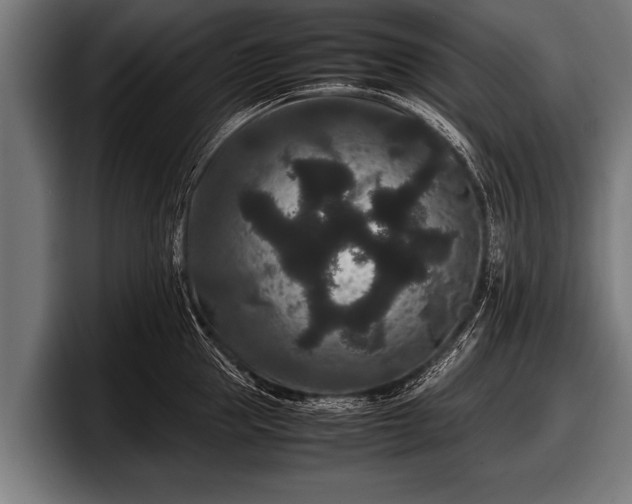 X0000097800953200803201354