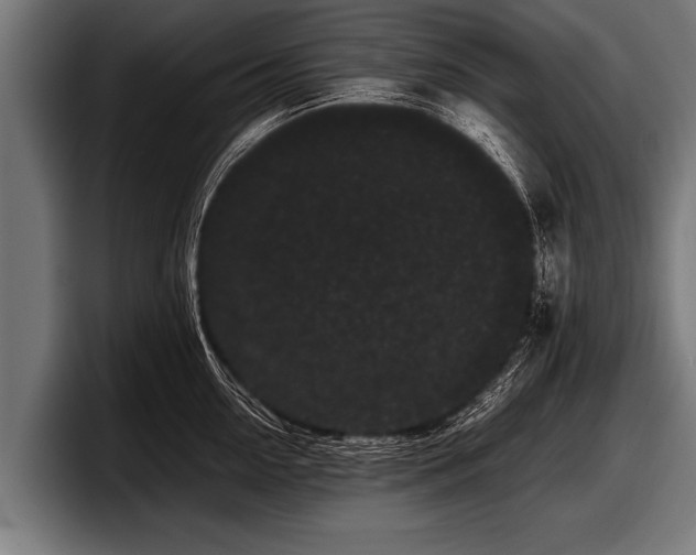 X0000097800954200803201354