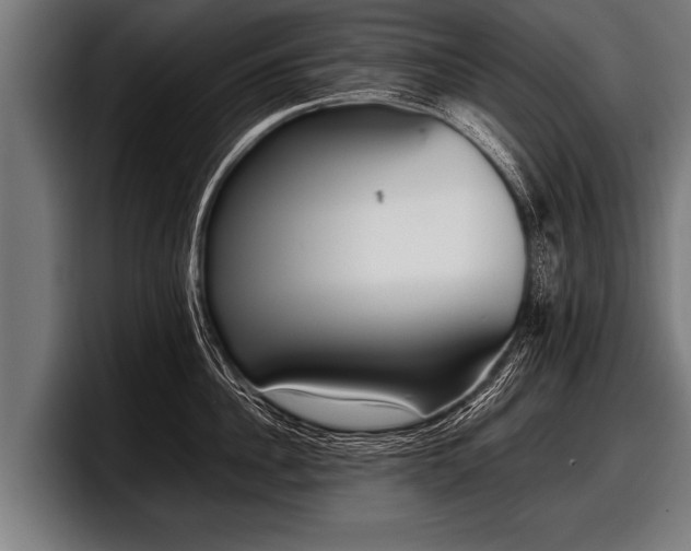 X0000097800956200803201354