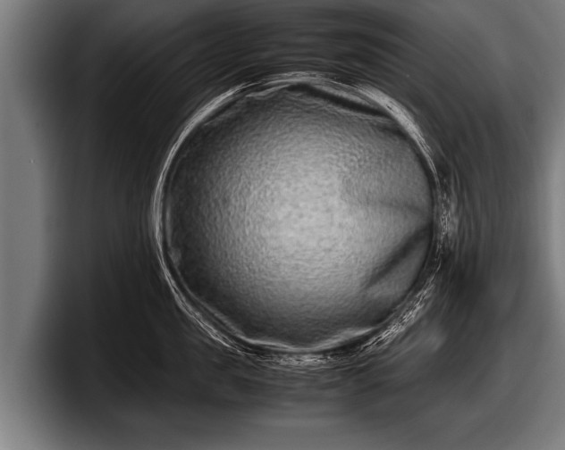 X0000097800957200803201355