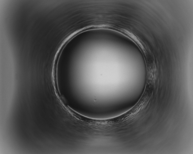 X0000097800959200803201355