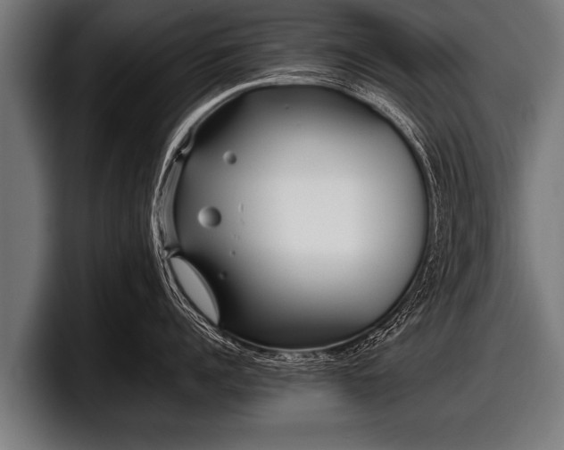 X0000097800960200803201355