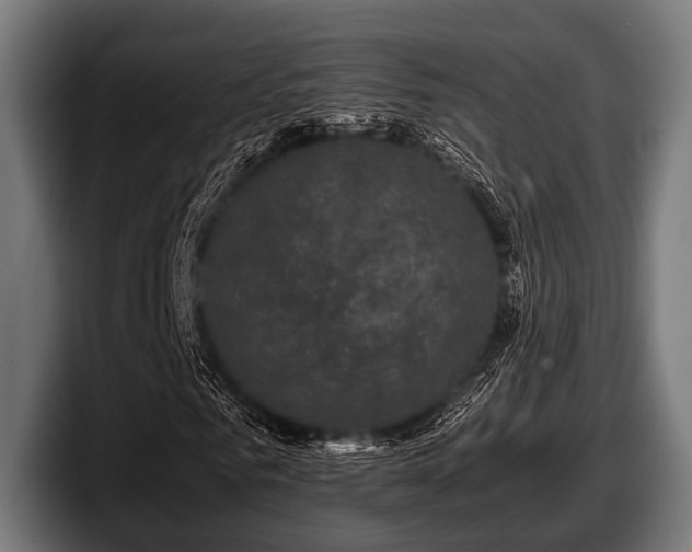 X0000097800961200803201354