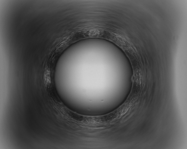 X0000097800962200803201354