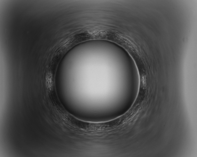 X0000097800963200803201354