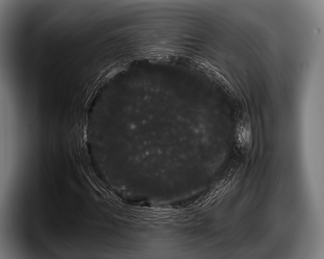 X0000097800964200803201354