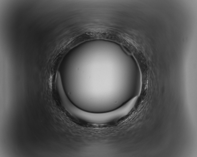 X0000097800965200803201354