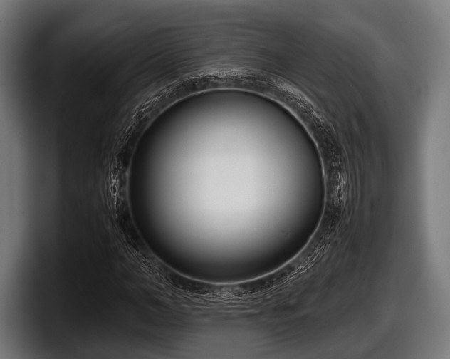 X0000097800966200803201354