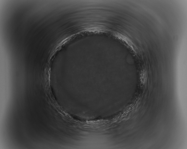 X0000097800968200803201354