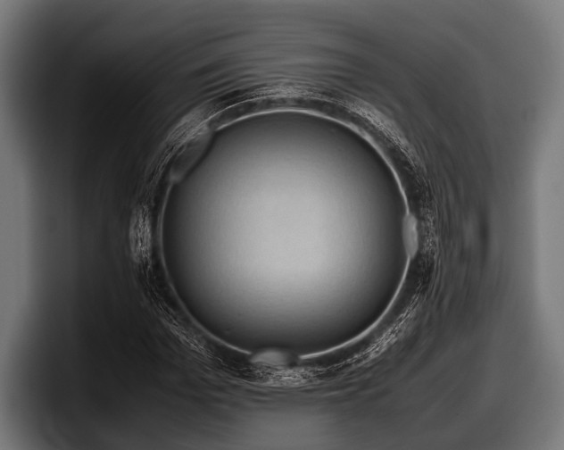 X0000097800969200803201354