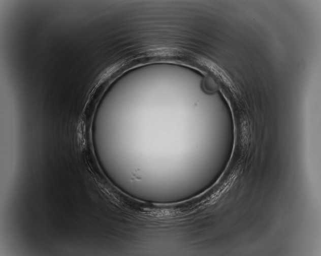 X0000097800970200803201354