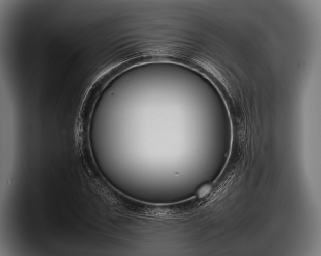 X0000097800971200803201354