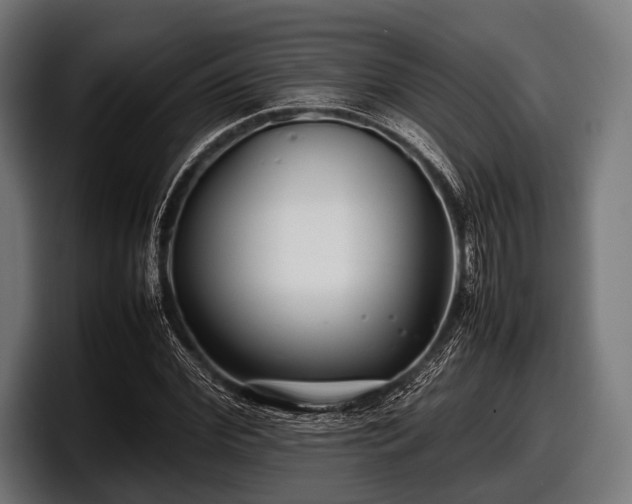 X0000097800972200803201354