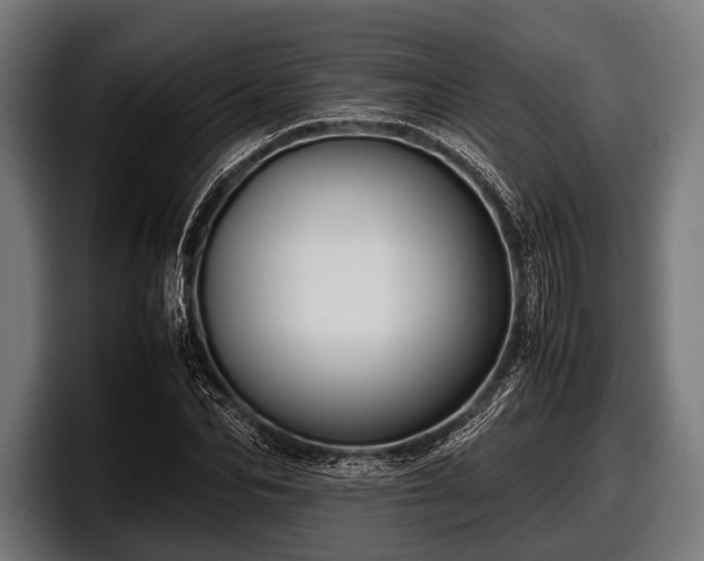 X0000097800974200803201354