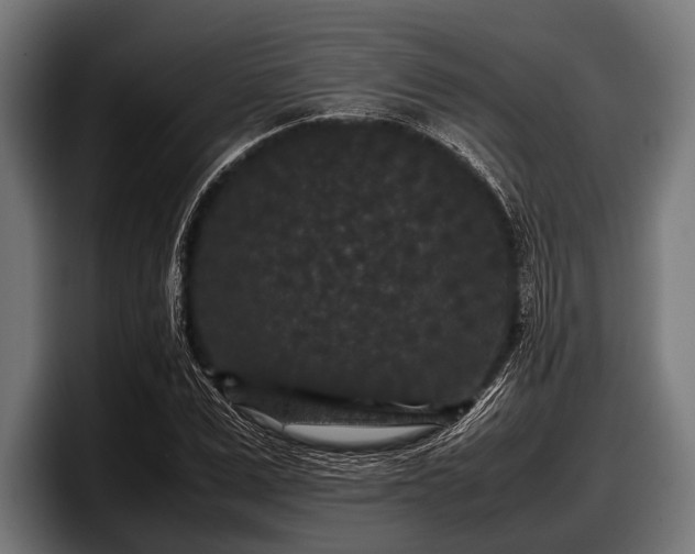 X0000097800975200803201354