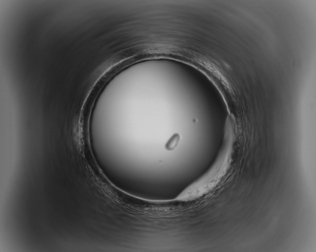 X0000097800976200803201354