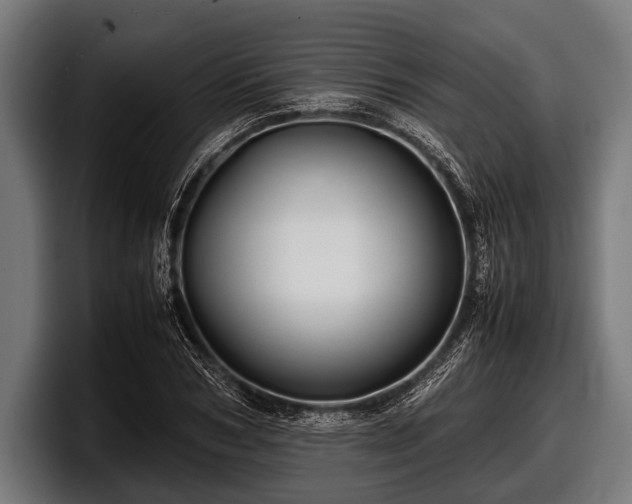 X0000097800978200803201354