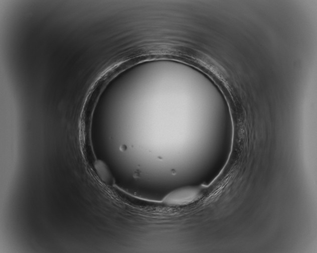 X0000097800979200803201354