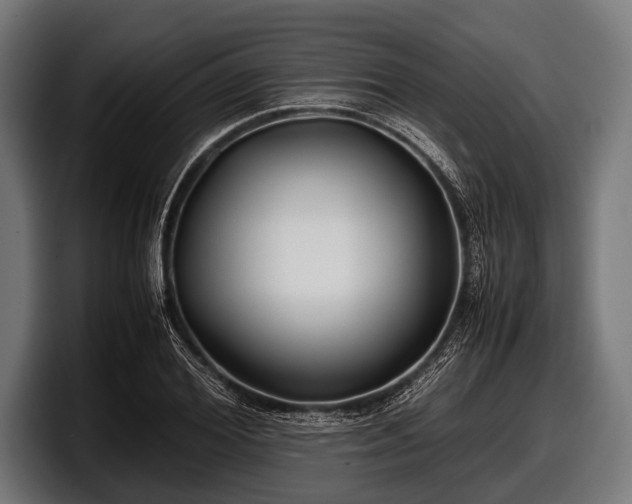 X0000097800980200803201354