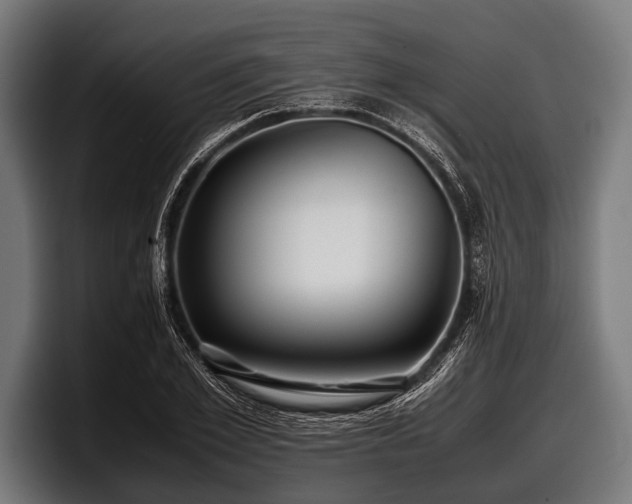 X0000097800981200803201354