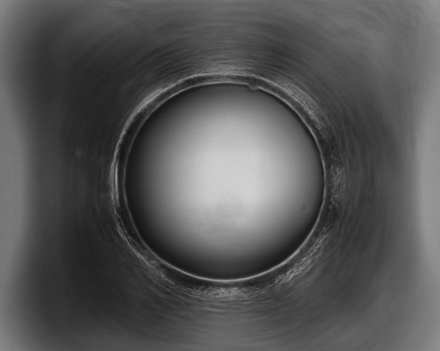 X0000097800982200803201354