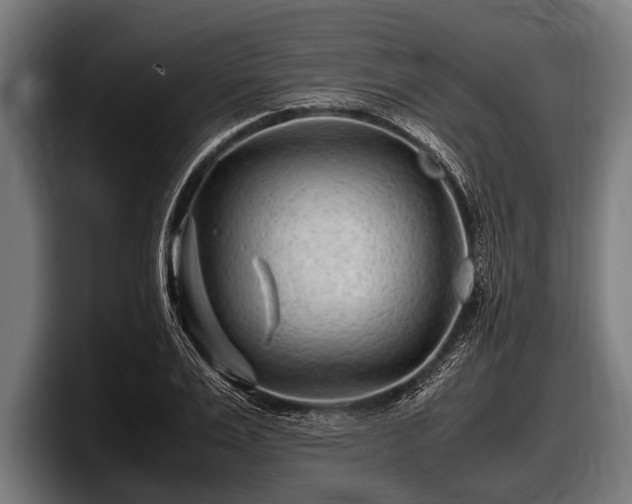 X0000097800983200803201354