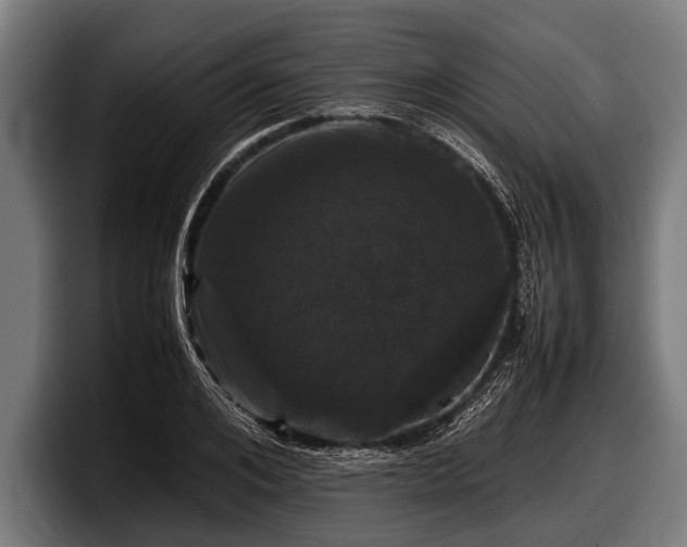 X0000097800984200803201354