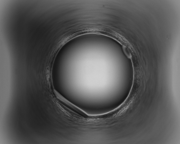 X0000097800985200803201354