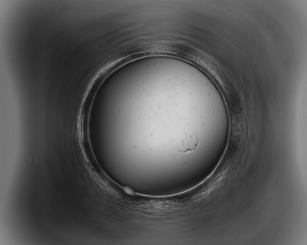 X0000097800987200803201354