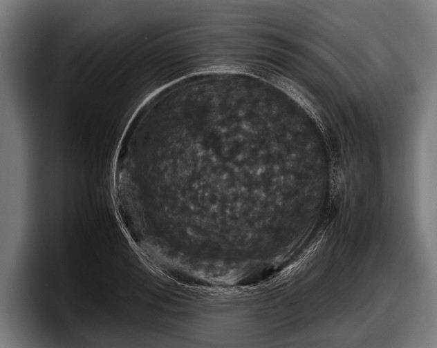 X0000097800988200803201354