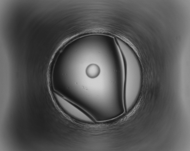 X0000097800989200803201354