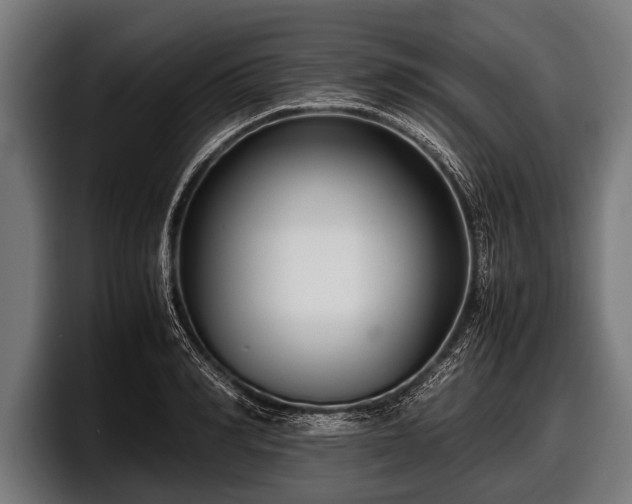 X0000097800990200803201354