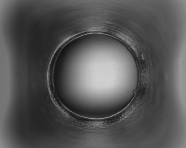 X0000097800991200803201354