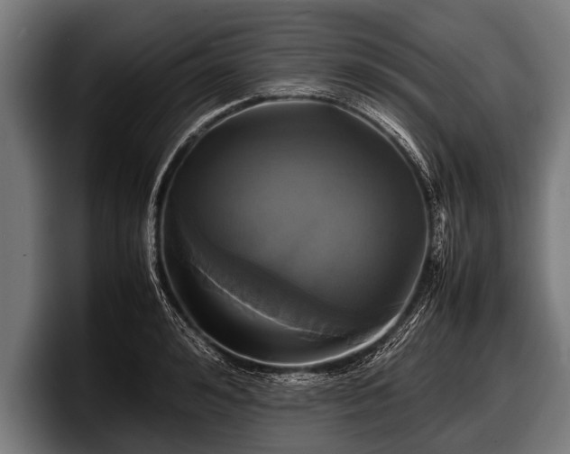 X0000097800992200803201354