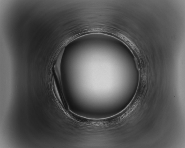 X0000097800993200803201354