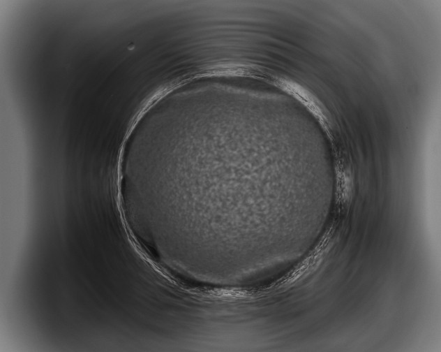 X0000097800994200803201354