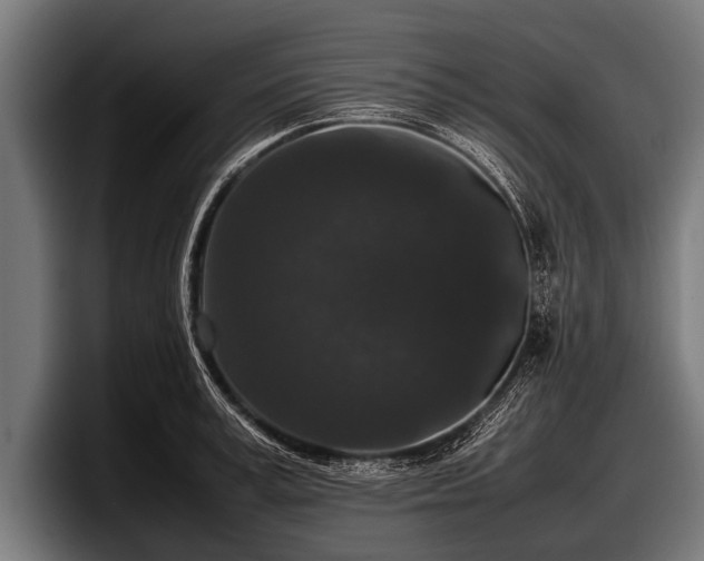 X0000097800995200803201353