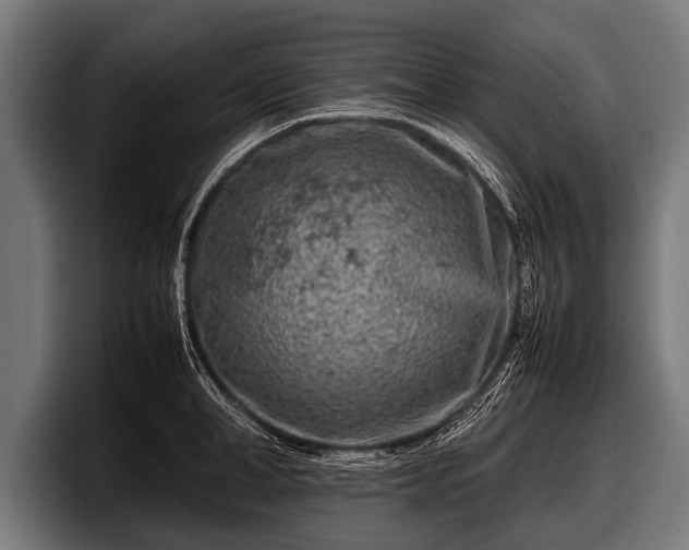 X0000097800998200803201353