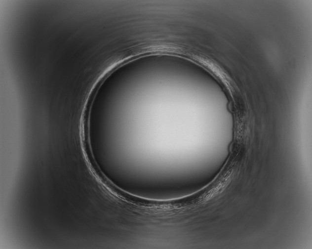 X0000097800999200803201353