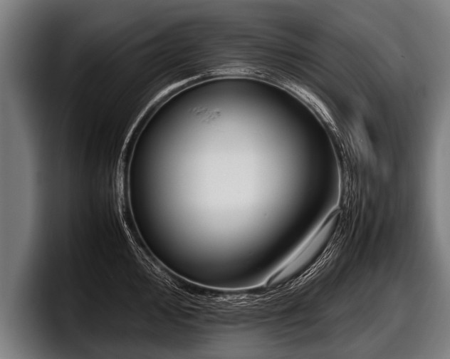 X0000097801000200803201353