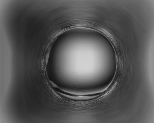 X0000097801001200803201353