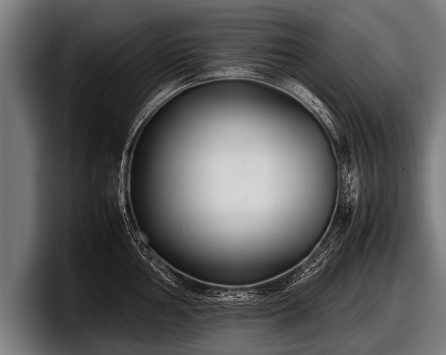 X0000097801002200803201353