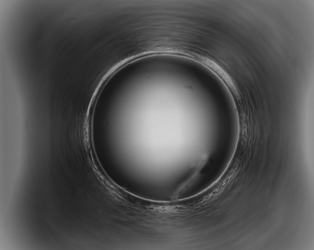 X0000097801004200803201353