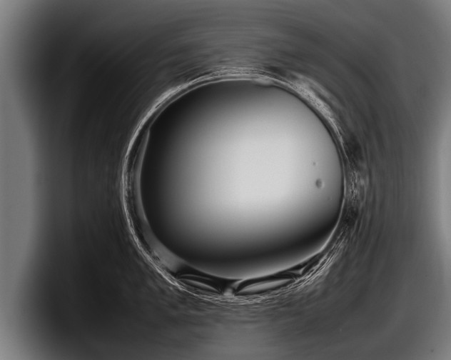 X0000097801005200803201353