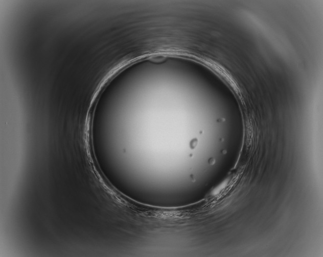 X0000097801006200803201353