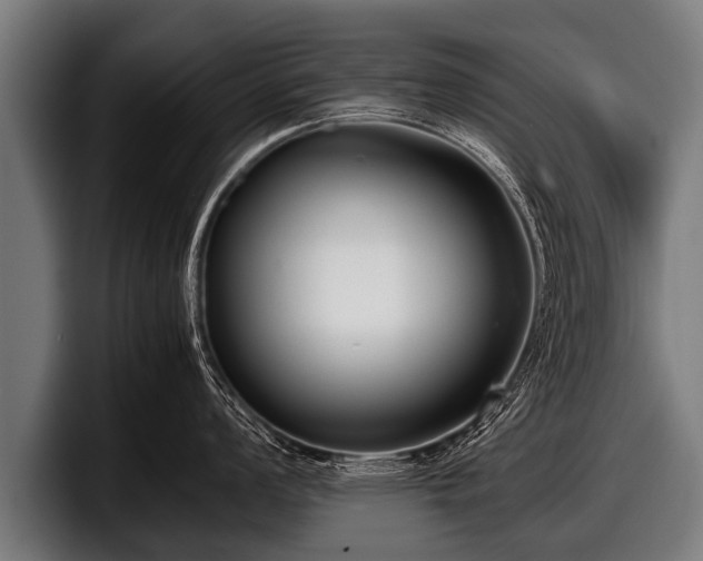 X0000097801008200803201353