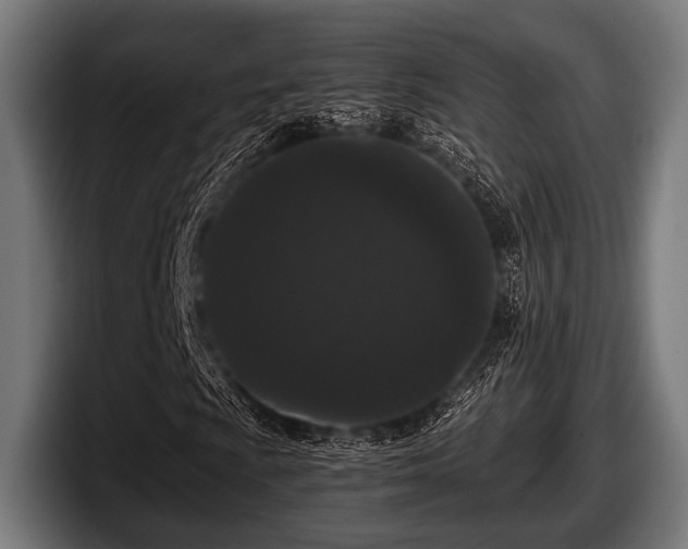 X0000097801009200803201353