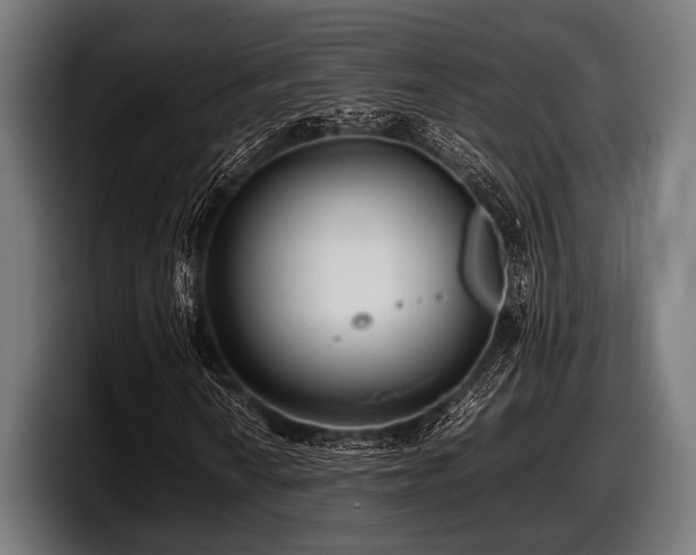 X0000097801010200803201353